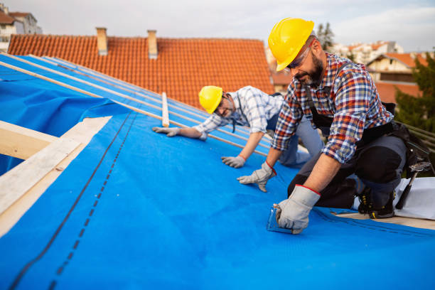 Quick and Trustworthy Emergency Roof Repair Services in Bushnell, FL