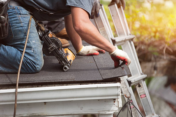 Best Metal Roofing Contractor  in Bushnell, FL